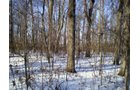 Property photo 25 - 76 Acres Offered in 4 Tracts